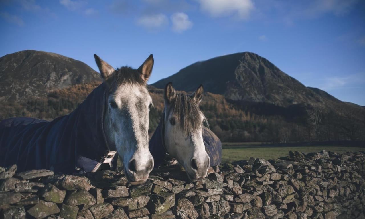 Cedar Nook Villa Loweswater Екстериор снимка